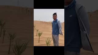 How to make desert green #china