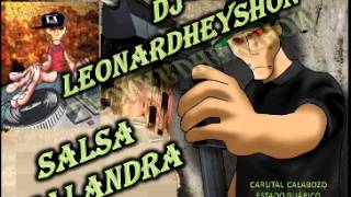 Salsa Malandra Dj Leonardheyshon Desde Carutal Calabozo Edo Guárico