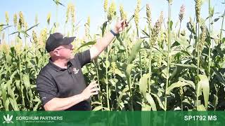 Sorghum Partners® Product Video - SP1792 MS