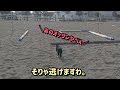 馬の放牧場に猫がやって来た …しかし、大きくて真っ黒な馬体の女番長馬に見つかってしまいました。【ツルマルボーイ様のシモべ】