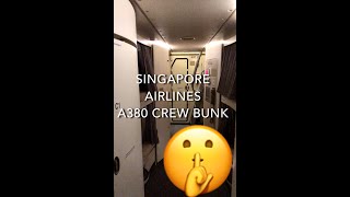 Inside Singapore Airlines A380 Crew Bunk!