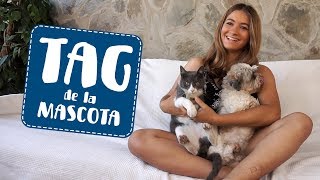 Tag de la Mascota | Furry Friend Tag