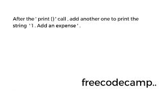 Learn Lambda Functions by Building an Expense Tracker | Python Beta Cert | Step 25