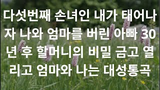 다섯번째 손녀인 내가 태어나자 나와 엄마를 버린 아빠 30년 후 할머니의 비밀 금고 열리고 엄마와 나는 대성통곡