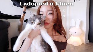watch this before getting a cat. (ft my mistakes)