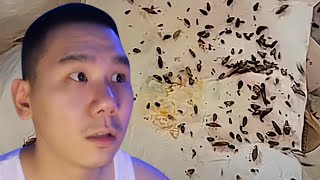 Japanese TikTok Girl Goes Viral For Living With Cockroaches..