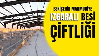 ESKİŞEHİR MAHMUDİYE IZGARALI BESİ ÇİFTLİĞİ