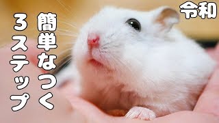 ハムスターの飼い方】簡単になつく、人懐っこい子の育て方、手乗り集付き【令和最新版】