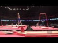 UDE Filip (CRO) - 2015 Artistic Worlds - Qualifications Vault 1