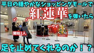 [ストリートピアノ]平日の穏やかなショッピングモールで「紅蓮華」を弾いたら足を止めてくれるのか！？[アリオ橋本]