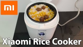 XIAOMI QF1201 Mini Rice Cooker Review