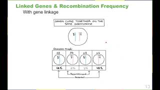 Chapter 13 Modern Understandings of Inheritance