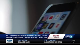 Iowa House bill would require age verification to access pornographic websites