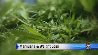 Marijuana and weight loss