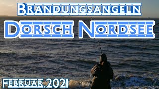 Brandungsangeln im Winter | BigS \u0026 JJPerch angeln am Tage und in der Nacht auf Dorsch/Kabeljau