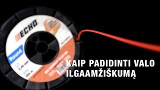 Kaip padidinti valo ilgaamžiškumą?