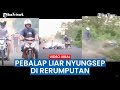 Adu Balap Liar, Motor ini Jatuh Pengendaranya Nyungsep di Rumput