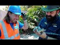 Handyman Hal works at Gatorland  Swamp Truck Ride with Alligators  Learn about reptiles