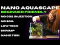 Beginner Aquascape (non co2) Aquael Shrimp set