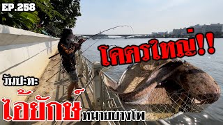 🎣🐠We are Angler EP:258“โคตรใหญ่ อะไรจะขนาดนี้ ปะทะไอ้ยักษ์ หมายบางโพ!!”|ตกปลาแม่น้ำเจ้าพระยา