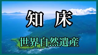 【世界自然遺産】知床の魅力