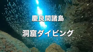 洞窟ダイビング・慶良間諸島国立公園