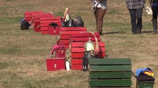 Mounted Troops entertain students with Calvary drills