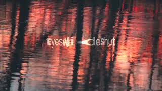 EyesWideShut