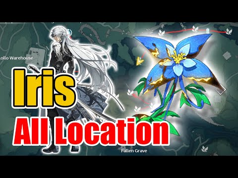 How to Farm Iris in Wuthering Waves (Map Locations)