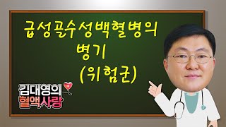 [김대영의 혈액사랑] 급성골수성백혈병의 병기(위험군)