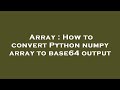 Array : How to convert Python numpy array to base64 output