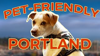 Dog Friendly Food Spots in Portland Part 1 Where to Eat with Your Pup in Buckman