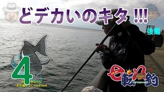 フカセ釣りで出るか大物！真夏の難問；　後編　七転八釣