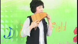 [뮤직필드] 사명(Mission) - 윤세자 팬플룻 연주 panpipe , panflute