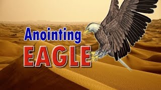 Anointing Eagle | Motivational Bible Verses | 2016 | HOPE Nireekshana TV