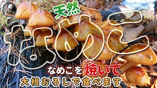 【天然なめこ焼き💖 \u0026 「自家製大根のおろし」を添えて😆】今回も信州の山へ・・・【前回は天然舞茸を収穫】【モグラの攻撃に耐えたフレッシュ大根】