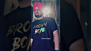 Brown Boys 🔥 || Sidhu Moose Wala Status #shorts #youtubeshorts #sidhumoosewala  #viral