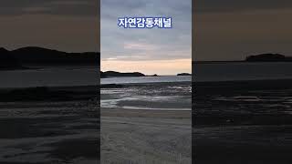 #영흥도 #노을 #트로트 #sunset #목섬 #박서진