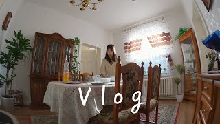 [VLOG] 독일일상 : 독일 가정식은 어떨까? | 시할머님과 돼지갈비로스트 만들기, 밥먹고 동네 산책하고 냥이랑 놀아주기 😺