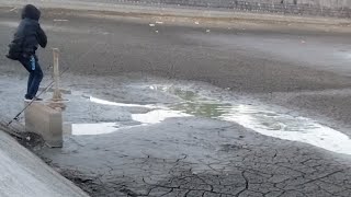 こんなとこで釣りしてたら普通バカですけど釣れるんです