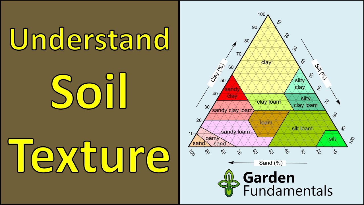 Understanding Soil Types And Soil Texture (test Your Own Soil) - YouTube