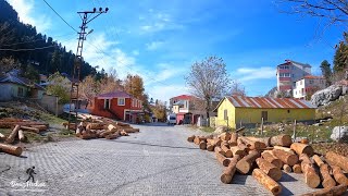 Yaylalar /Sonbaharda Yayla Havası ,  Bağdaş Yaylası