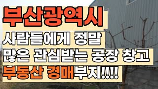 부산광역시 공장 창고 권리분석 같이 해볼까요?! 매매말고 경매로 낙찰받아가세요!! 부산광역시 강서구 공장 및 창고시설~ 공장 유치권?! [권리분석사례공부]