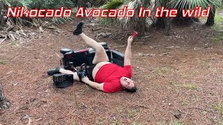 Nikocado Avocado in the Wild