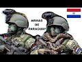 Top 6 Most Powerful Weapons in PARAGUAY.