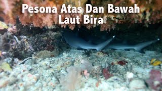 Pesona Bawah dan Atas Laut Bira