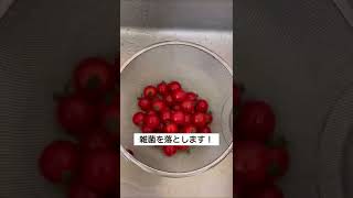 プチトマト　冷蔵庫に入れる前にコレやって！【ホタテの除菌パウダー　メナージュSEN】