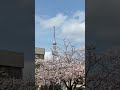 東京スカイツリー （とうきょうスカイツリー、英 tokyo skytree）