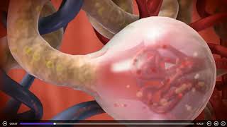 过滤 三维立体动画演示 #人体解剖学 Filter 3D animation demo #HumanAnatomy