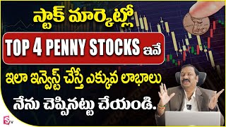Top 4 Penny Stocks | Stock Market for Beginners | Guru Prasad #stockmarket #money | SumanTV Money